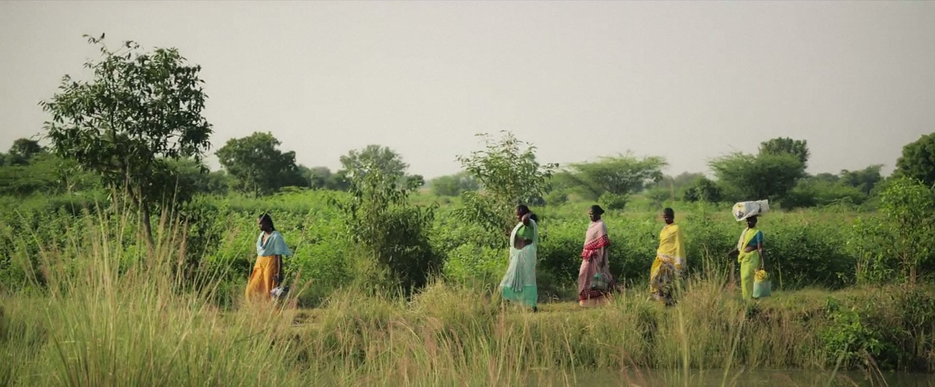 Five women in bright saris walk in single file through scrubland and fields.