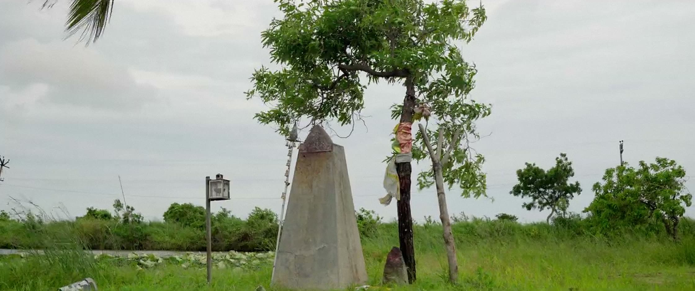 A standing stone beside a tree at the edge of an open green field, under an overcast sky.