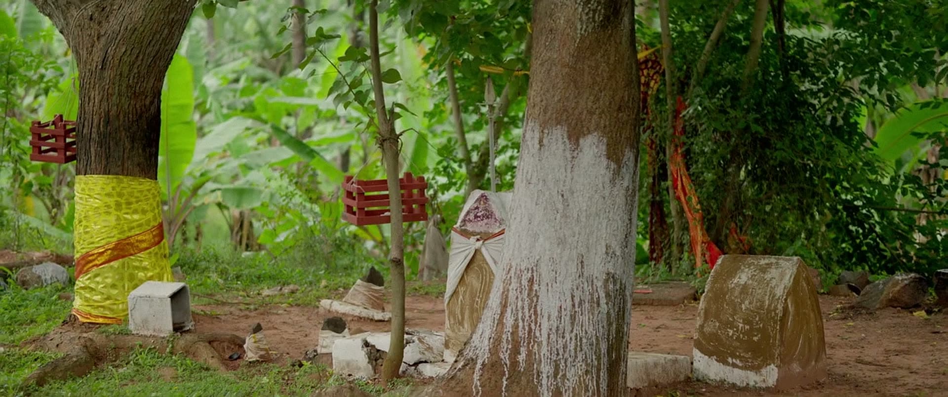 Stones at the foot of trees whose trunks are painted white and bound in yellow cloth.