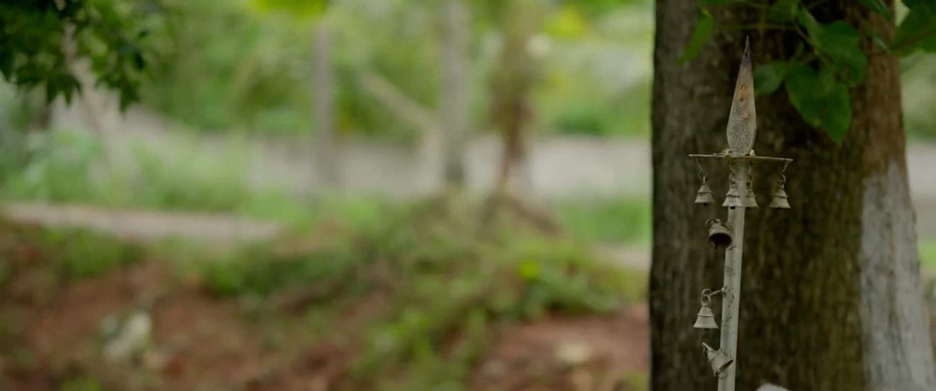 An iron spear set upright against the trunk of a tree.