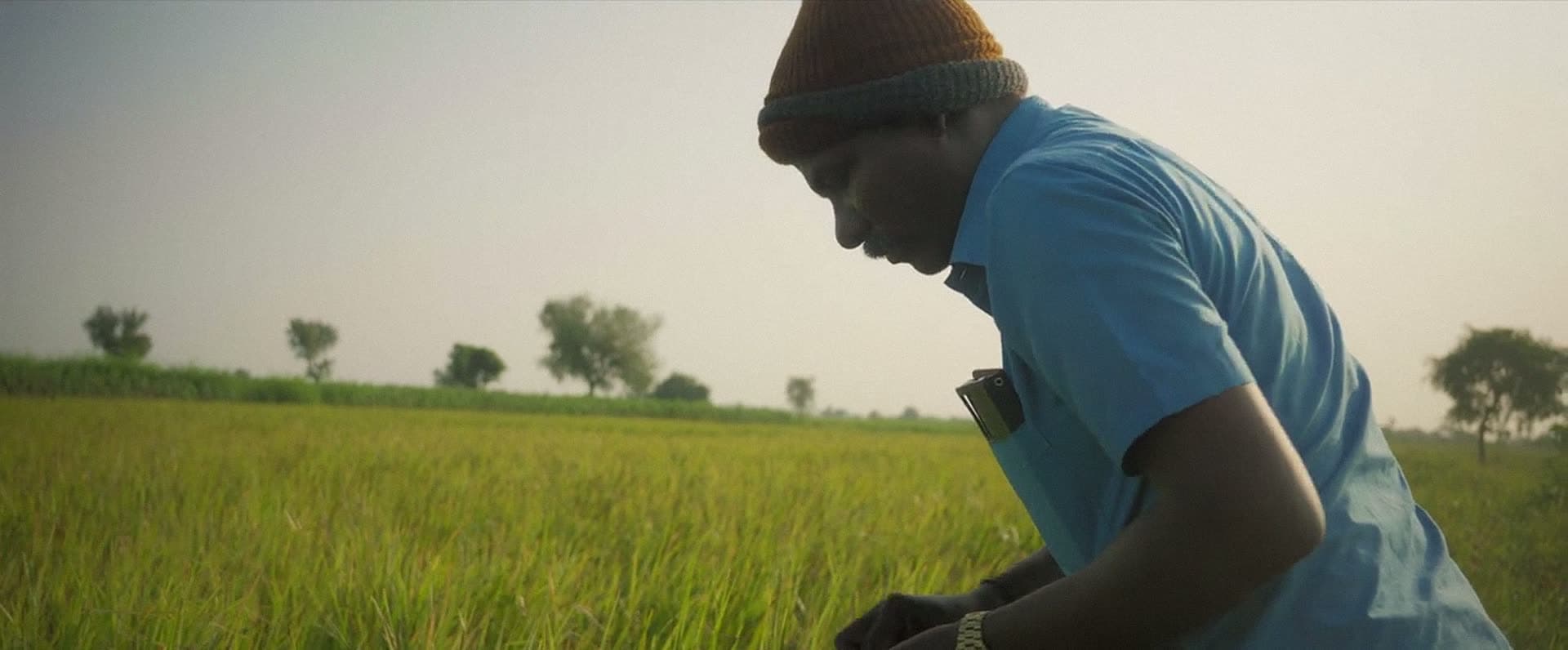 A man in a woollen cap bends over a field of grain, lit from behind by a low sun.