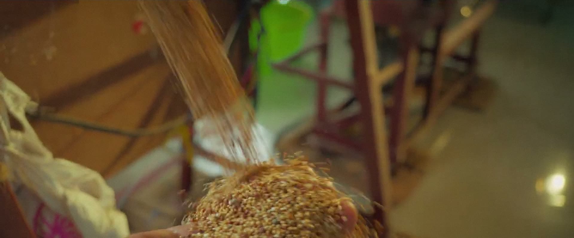 A stream of millet grain pours onto a heap inside a mill.