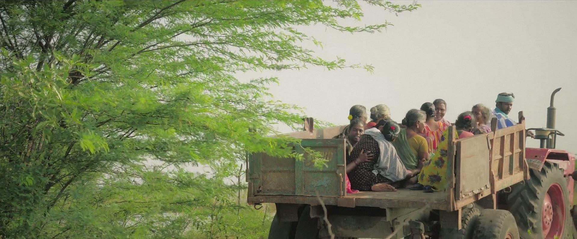 A tractor pulls a trailer full of women farmers beneath a spreading tree.